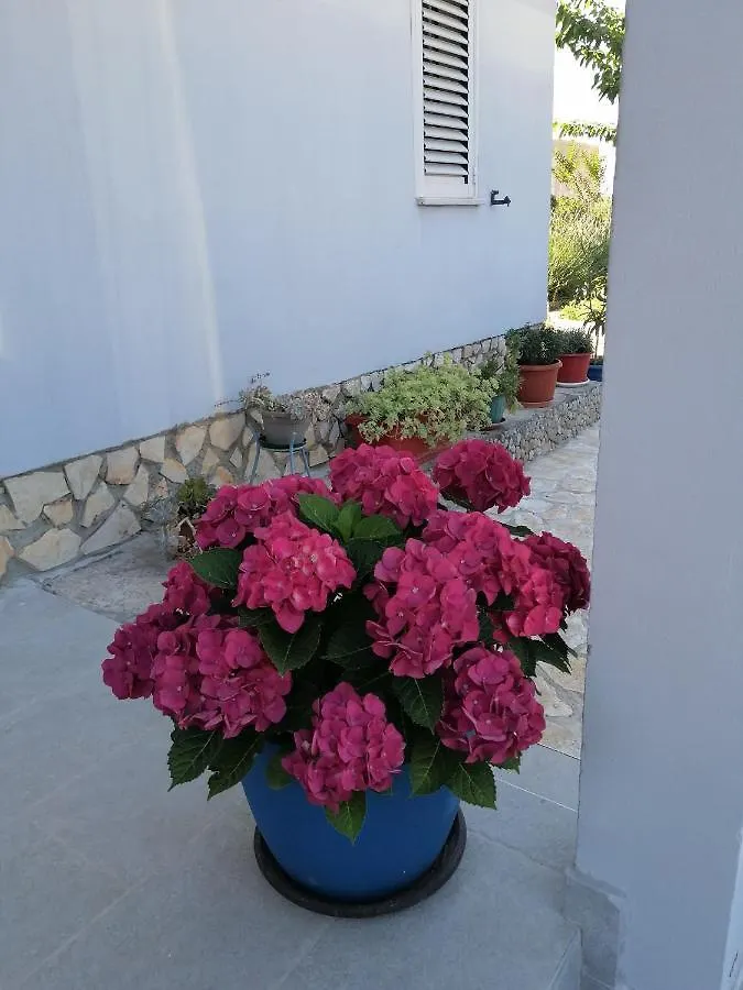 Apartman Antonija Pula 0*,  Croatia